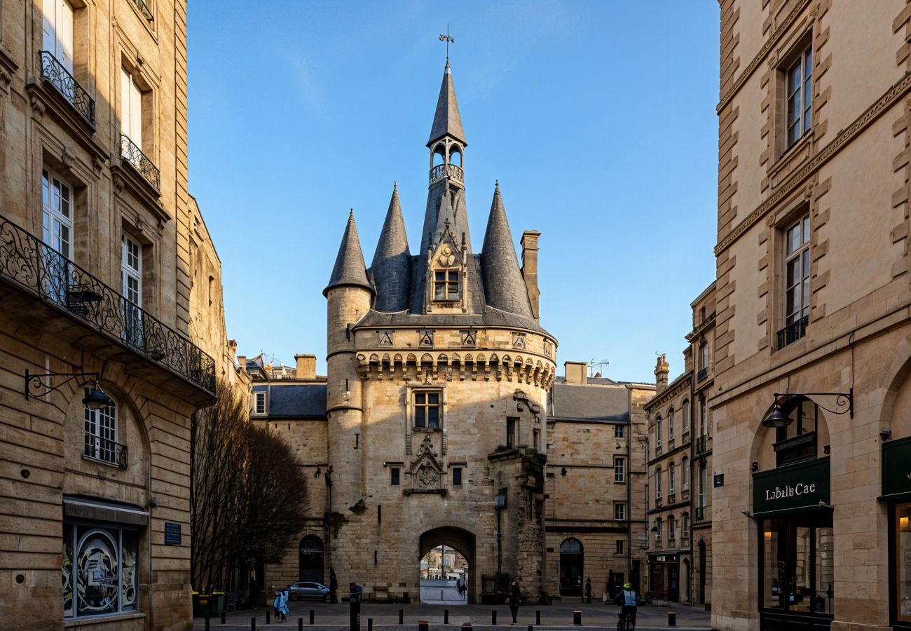 Apartment in Bordeaux -  Place du Palais Historic Center 