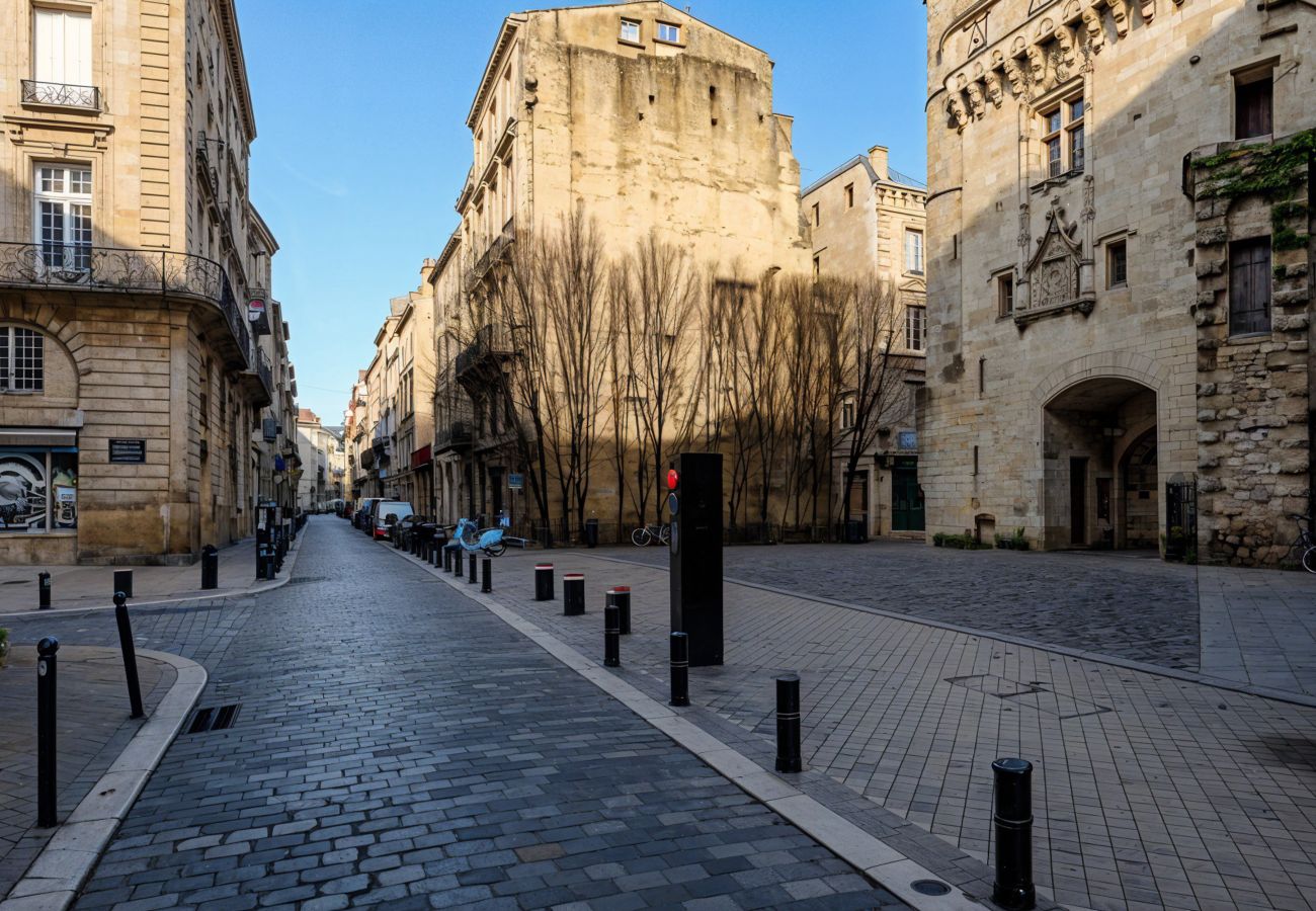 Apartment in Bordeaux -  Place du Palais Historic Center 
